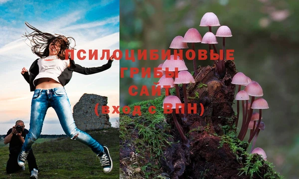 индика Кодинск