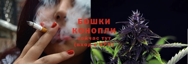ПСИЛОЦИБИНОВЫЕ ГРИБЫ Кулебаки