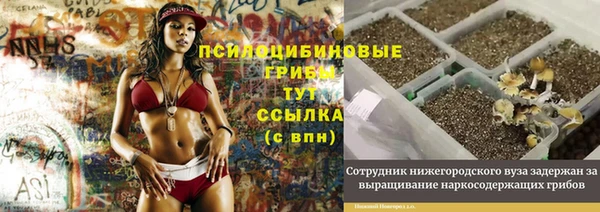 герыч Корсаков